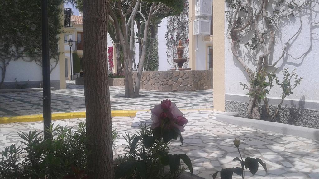 Coast Apartament Vera